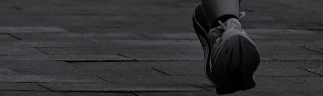 Running Lutalica